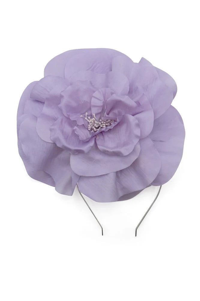 CINDY FASCINATOR