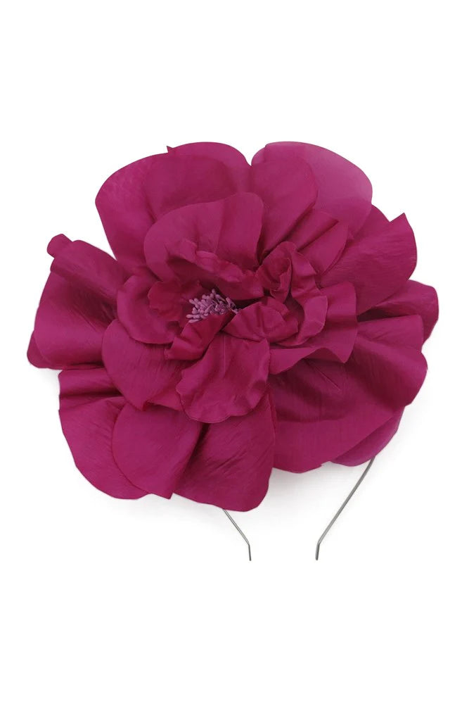 CINDY FASCINATOR