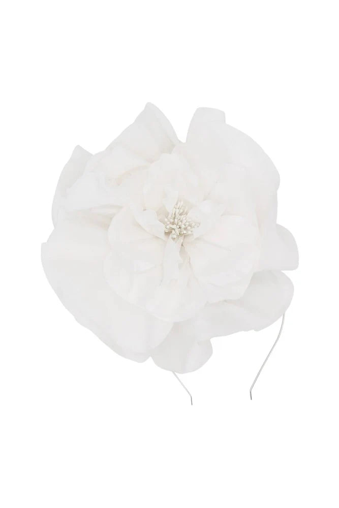 CINDY FASCINATOR