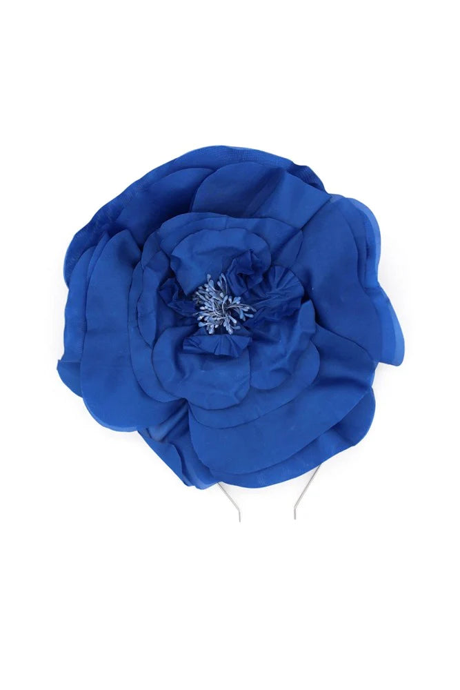 CINDY FASCINATOR