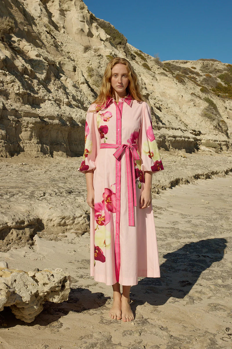 LUCILLE DRESS ICING PHALAE