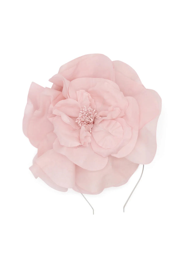CINDY FASCINATOR