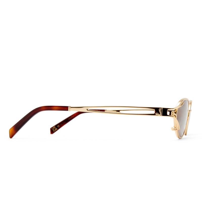 THE PALOMA GOLD
