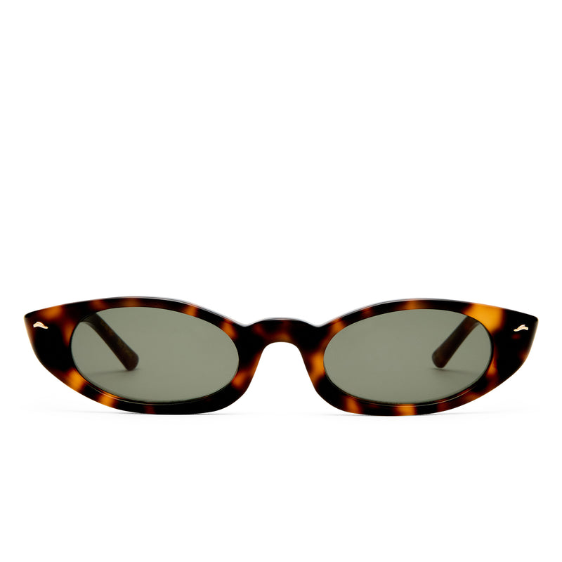 THE TORTUE TORT