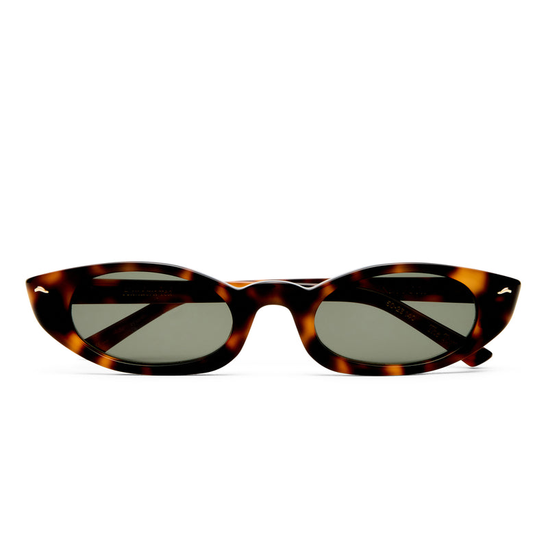 THE TORTUE TORT