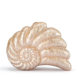 INDI ACRYLIC SHELL CLUTCH